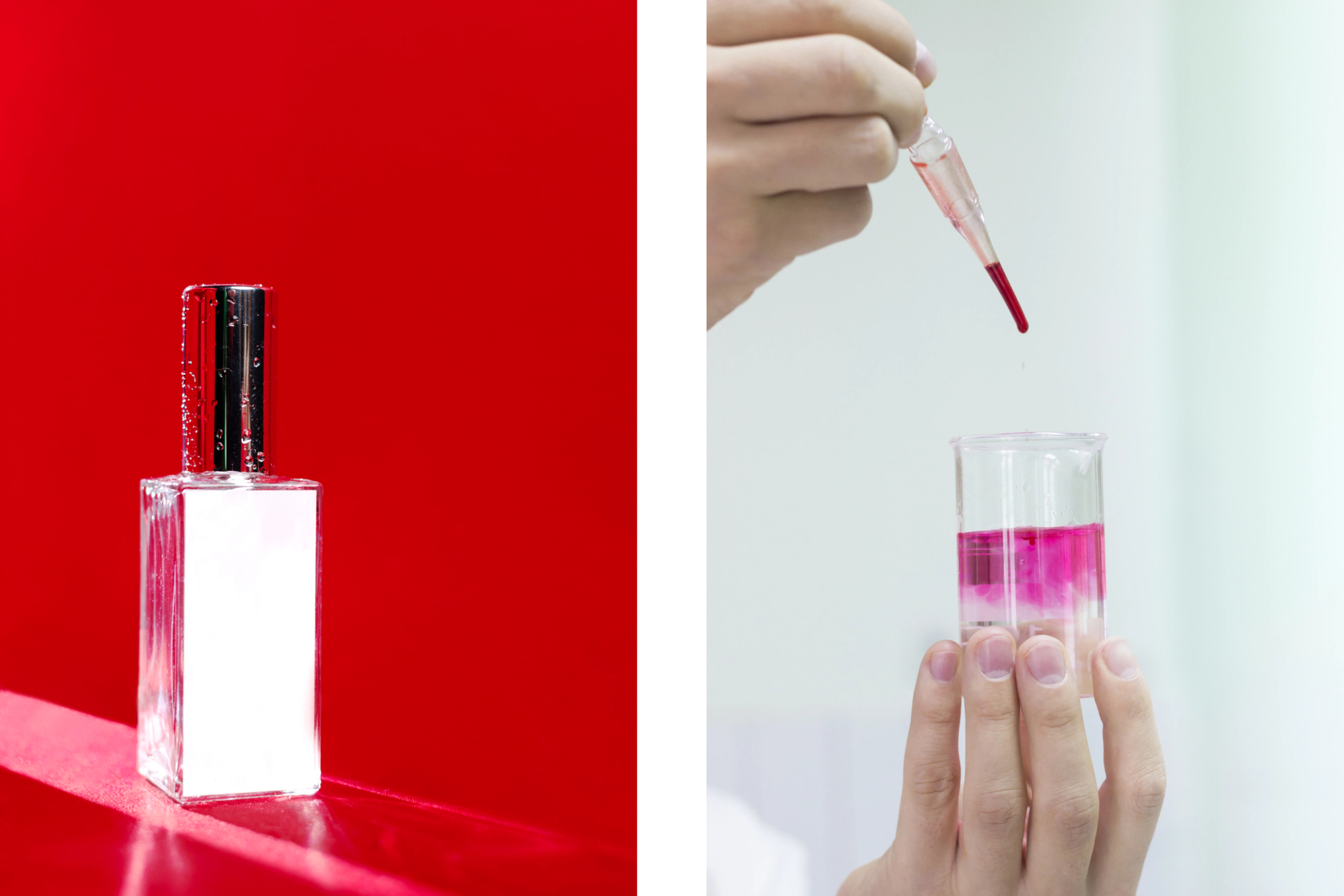 HomePage product sample